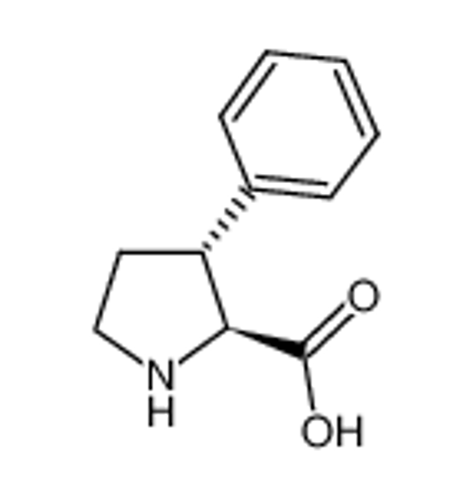 Imagem de trans-3-Phenyl-L-proline