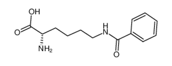 Picture of Nepsilon-Benzoyl-L-lysine