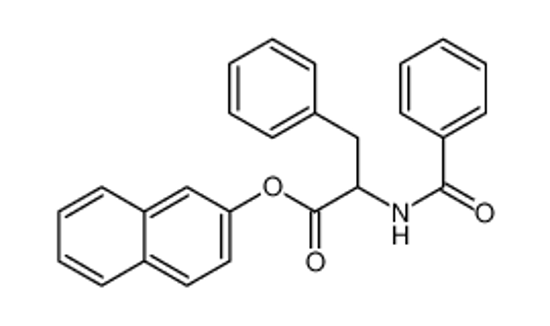 Picture of N-BENZOYL-DL-PHENYLALANINE 2-NAPHTHYL ESTER [FOR DETERMINATION OF CHYMOTRYPSIN]
