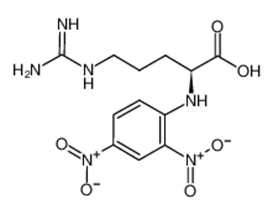 Picture of NALPHA-(2,4-DINITROPHENYL)-L-ARGININE