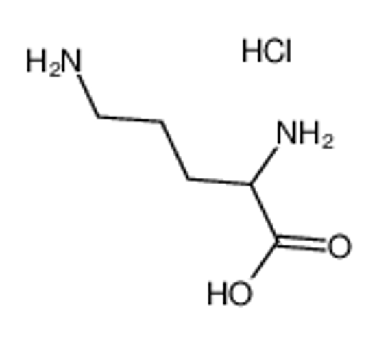 Picture of DL-Ornithine Hydrochloride