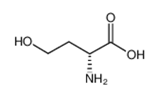 Picture of D-homoserine