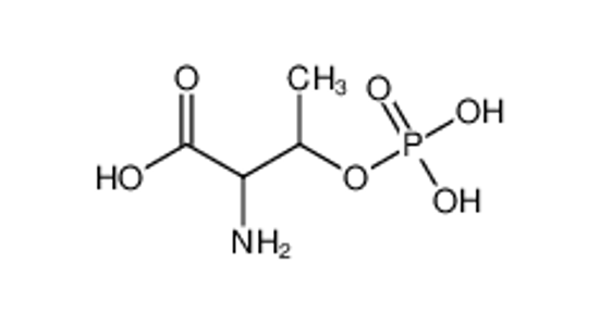 Picture of DL-Threonine phosphate