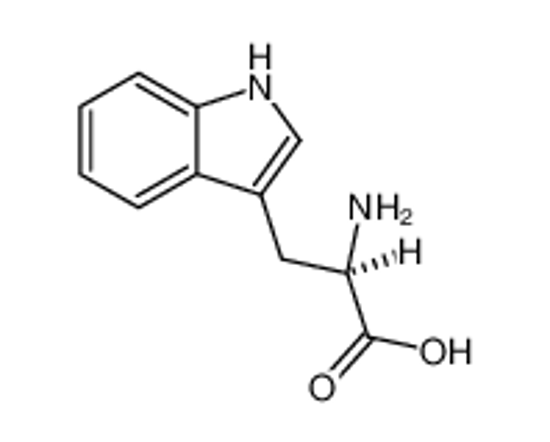 Picture of D-tryptophan