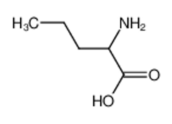 Picture of (2S)-2-aminopentanoic acid