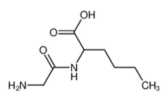 Picture of 2-[(2-aminoacetyl)amino]hexanoic acid