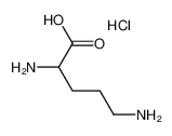 Imagem de D-Ornithine monohydrochloride
