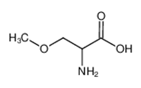 Picture of 2-Amino-3-methoxypropanoic acid