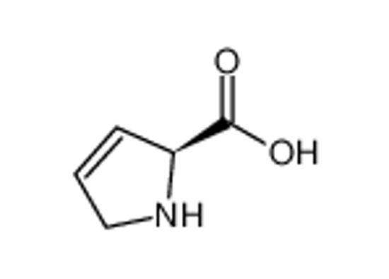 Picture of (S)-3-Pyrroline-2-carboxylic Acid