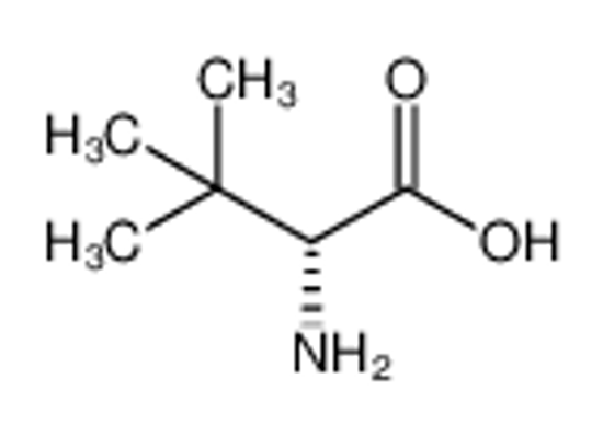 Picture of (2R)-2-amino-3,3-dimethylbutanoic acid