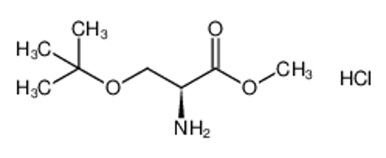Picture of O-tert-Butyl-L-serine methyl ester hydrochloride