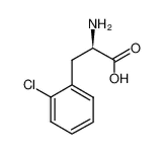 Picture of (S)-2-Amino-3-(2-chlorophenyl)propanoic acid