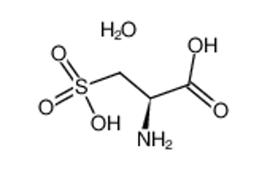 Picture of L-CYSTEIC ACID MONOHYDRATE