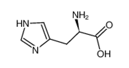 Picture of D-histidine