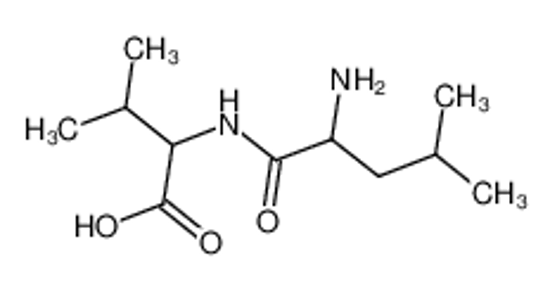 Picture of H-DL-LEU-DL-VAL-OH H2O