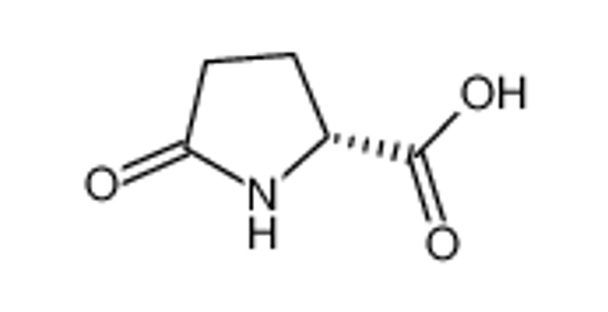 Picture of 5-oxo-D-proline
