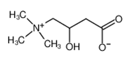Изображение carnitinium