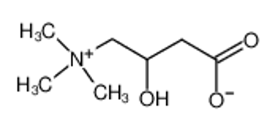 Picture of carnitinium