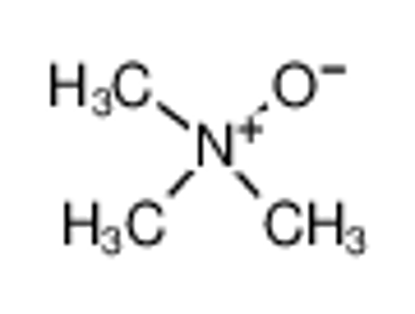 Mostrar detalhes para trimethylamine N-oxide
