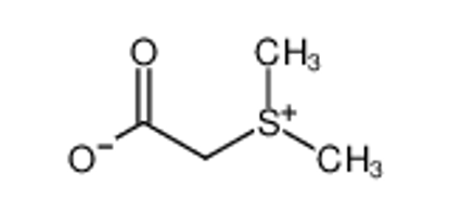 Picture of (dimethylsulfonio)acetate