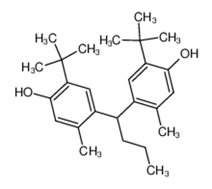 Show details for 4,4'-Butylidenebis(6-tert-butyl-3-methylphenol)