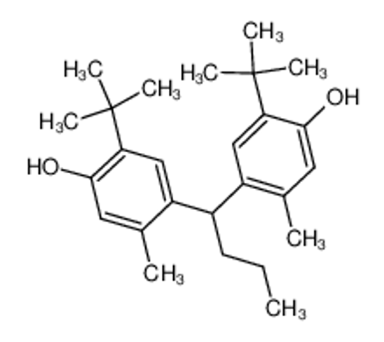 Picture of 4,4'-Butylidenebis(6-tert-butyl-3-methylphenol)