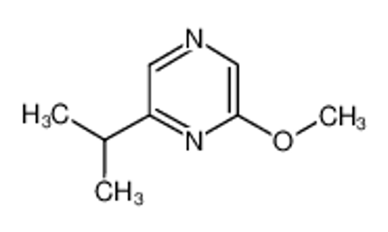 Imagem de 2-Methoxy-6-isopropylpyrazine