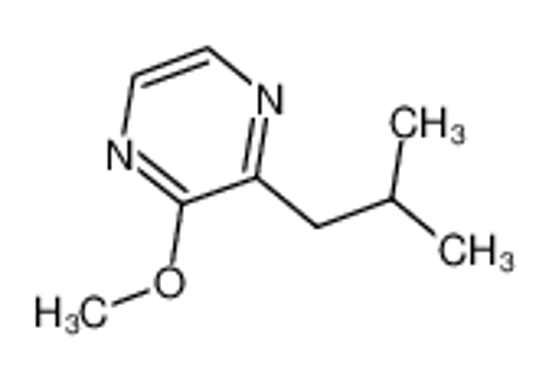 Изображение 2-Methoxy-3-isobutyl pyrazine