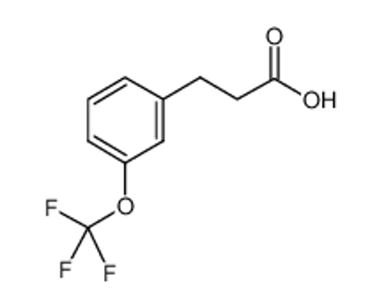Picture of 3-[3-(trifluoromethoxy)phenyl]propanoic acid