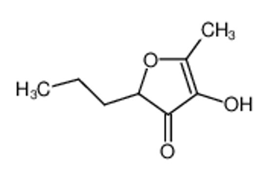 Picture of 2-ethyl-4-hydroxy-5-methylfuran-3-one