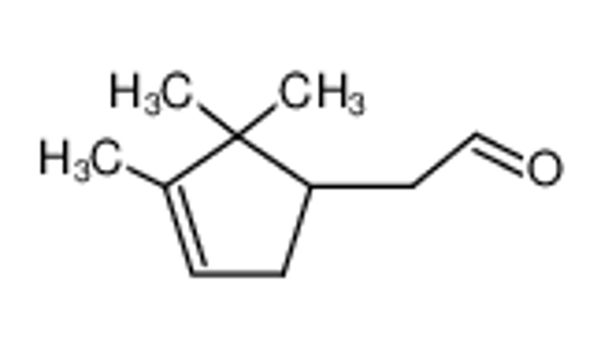 Изображение (R)-α-campholenaldehyde