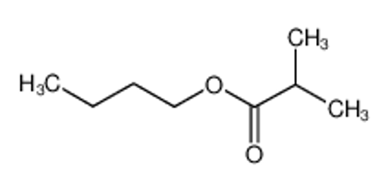 Picture of Butyl Isobutyrate