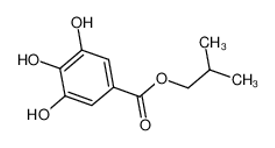 Picture of Isobutyl Gallate