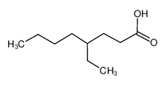 Picture of 4-Ethyloctanoic acid