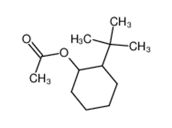 Picture of O-Tert-Butylcyclohexyl Acetate