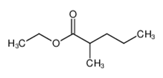 Picture of Ethyl 2-Methylpentanoate