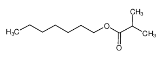 Picture of heptyl 2-methylpropanoate