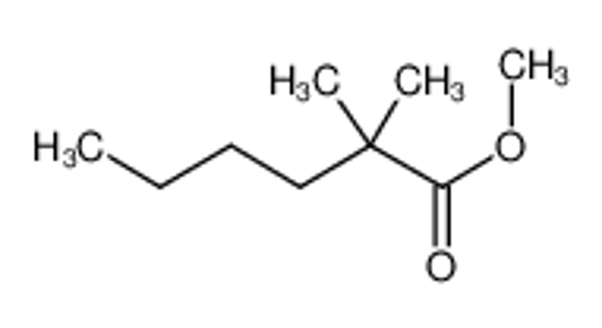 Изображение 2-methylbutyl 2-methylpropanoate