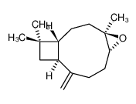 Изображение (-)-Caryophyllene oxide