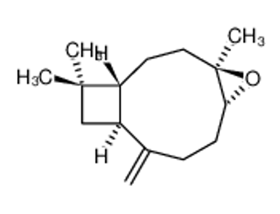 Picture of (-)-Caryophyllene oxide