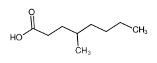 Picture of 4-Methyloctanoic acid