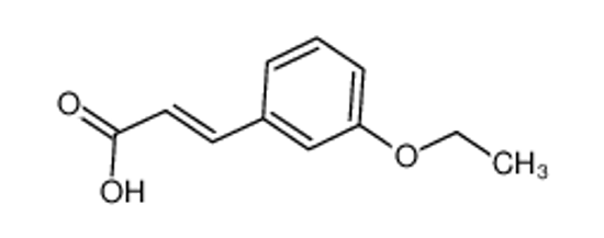 Picture of TRANS-3-ETHOXYCINNAMIC ACID
