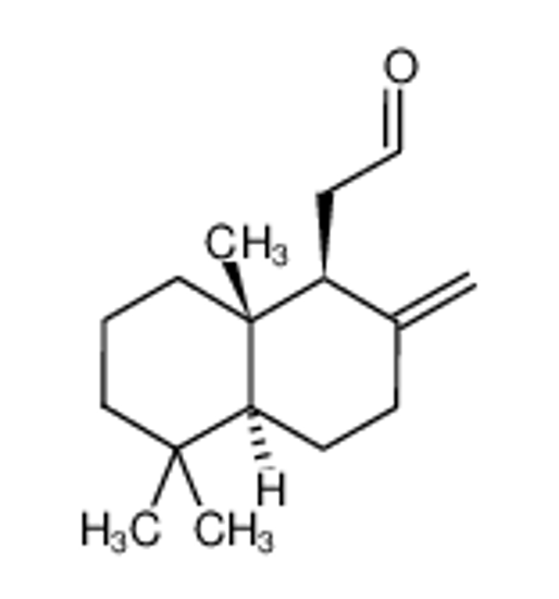 Picture of (1S,4aS,8aS)-Decahydro-5,5,8a-trimethyl-2-methylene-1-naphthaleneacetaldehyde