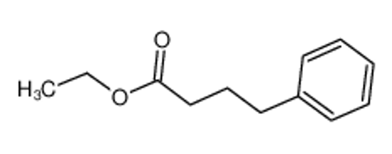 Picture of ethyl 4-phenylbutanoate