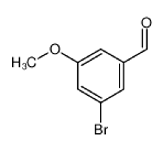 Picture of 3-BROMO-5-METHOXYBENZALDEHYDE