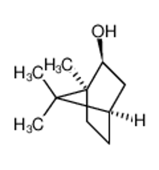 Picture of DL-Isoborneol