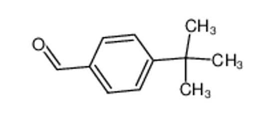 Picture of 4-tert-Butylbenzaldehyde