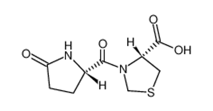 Изображение (R)-3-((S)-5-Oxopyrrolidine-2-carbonyl)thiazolidine-4-carboxylic acid