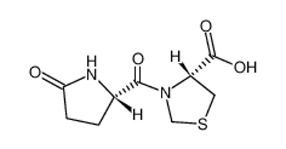 Picture of (R)-3-((S)-5-Oxopyrrolidine-2-carbonyl)thiazolidine-4-carboxylic acid