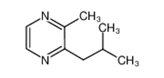 Изображение 2-Isobutyl-3-methylpyrazine